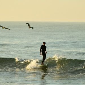 Meet your Posher, Tyler